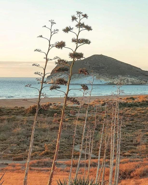 Exclusiva Casa Con Encanto En Agua Amarga Agua Amarga  Dış mekan fotoğraf